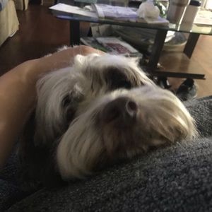 Meet your Posher, Kate